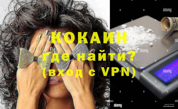 хмурый Корсаков