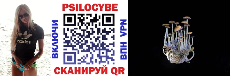 Псилоцибиновые грибы Psilocybine cubensis  купить закладку  Луга 