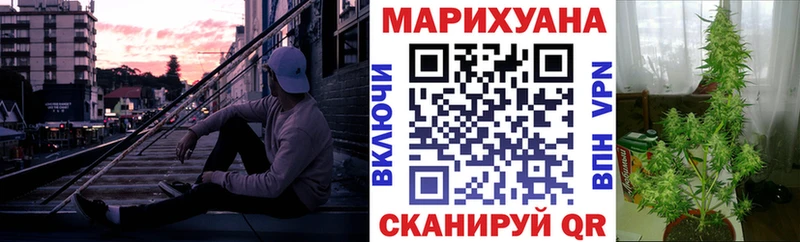 Каннабис планчик  Луга 